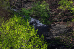 Cloudland-Canyon-32