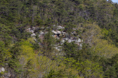 Cloudland-Canyon-38