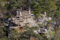Cloudland-Canyon-39