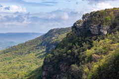 Cloudland-Canyon-41