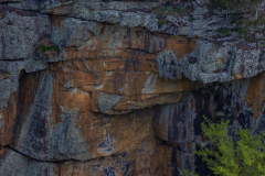 Cloudland-Canyon-43