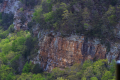 Cloudland-Canyon-45