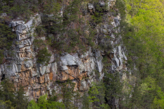 Cloudland-Canyon-49
