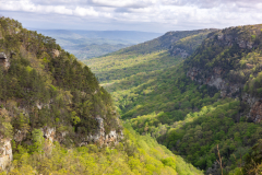 Cloudland-Canyon-53