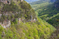 Cloudland-Canyon-56