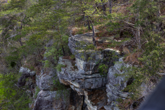 Cloudland-Canyon-63