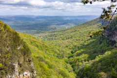 Cloudland-Canyon-65