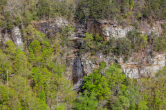 Cloudland-Canyon-67