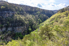 Cloudland-Canyon-72