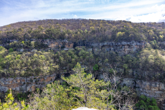 Cloudland-Canyon-73