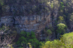 Cloudland-Canyon-75