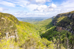 Cloudland-Canyon-78