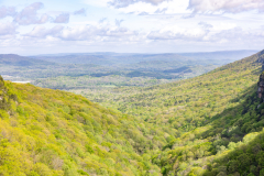 Cloudland-Canyon-79