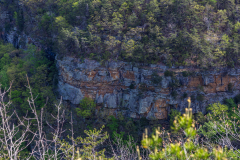 Cloudland-Canyon-81