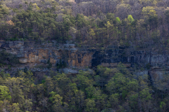 Cloudland-Canyon-82