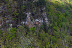Cloudland-Canyon-84