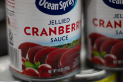 Cranberry sauce in can