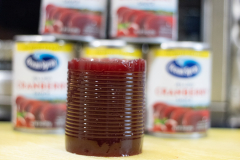 Cranberry Sauce in front of cans