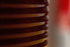 Cranberry ridges macro