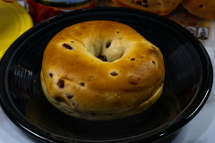 Cranberry Bagel