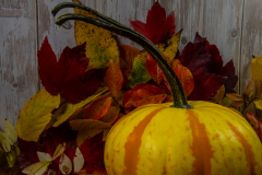 Pumpkin and leaves