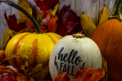 Hello fall pumpkin