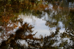 Mirror-of-the-River