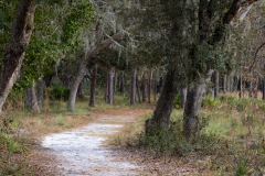 Path-Canopy