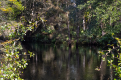 The-River