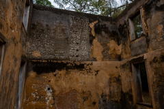 Jekyll-Island-Day-2-022