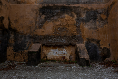 Jekyll-Island-Day-2-025