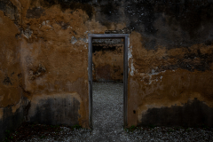 Jekyll-Island-Day-2-028