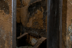 Jekyll-Island-Day-2-040