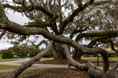 Jekyll-Island-Day-2-085