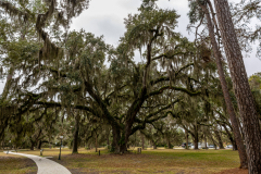 Jekyll-Island-Day-2-103