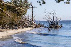 Jekyll-Island-Day-2-308