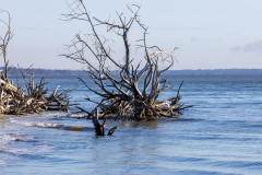 Jekyll-Island-Day-2-309