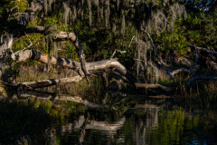 Jekyll-Island-Day-2-314
