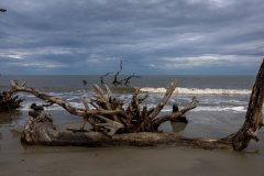 Driftwood-Beach-Sunset-005