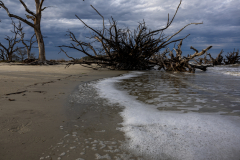Driftwood-Beach-Sunset-013