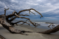 Driftwood-Beach-Sunset-026