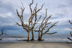 Driftwood-Beach-Sunset-030