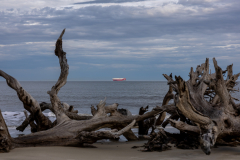 Driftwood-Beach-Sunset-042