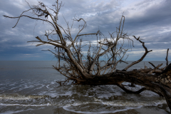 Driftwood-Beach-Sunset-043