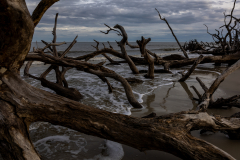 Driftwood-Beach-Sunset-047
