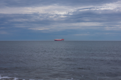 Driftwood-Beach-Sunset-051