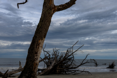 Driftwood-Beach-Sunset-058