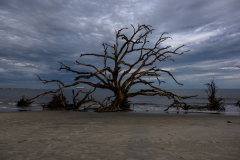 Driftwood-Beach-Sunset-063