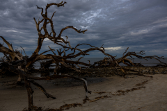 Driftwood-Beach-Sunset-078