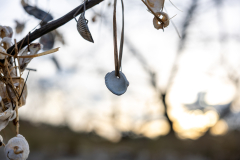 Driftwood-Beach-Sunset-092
